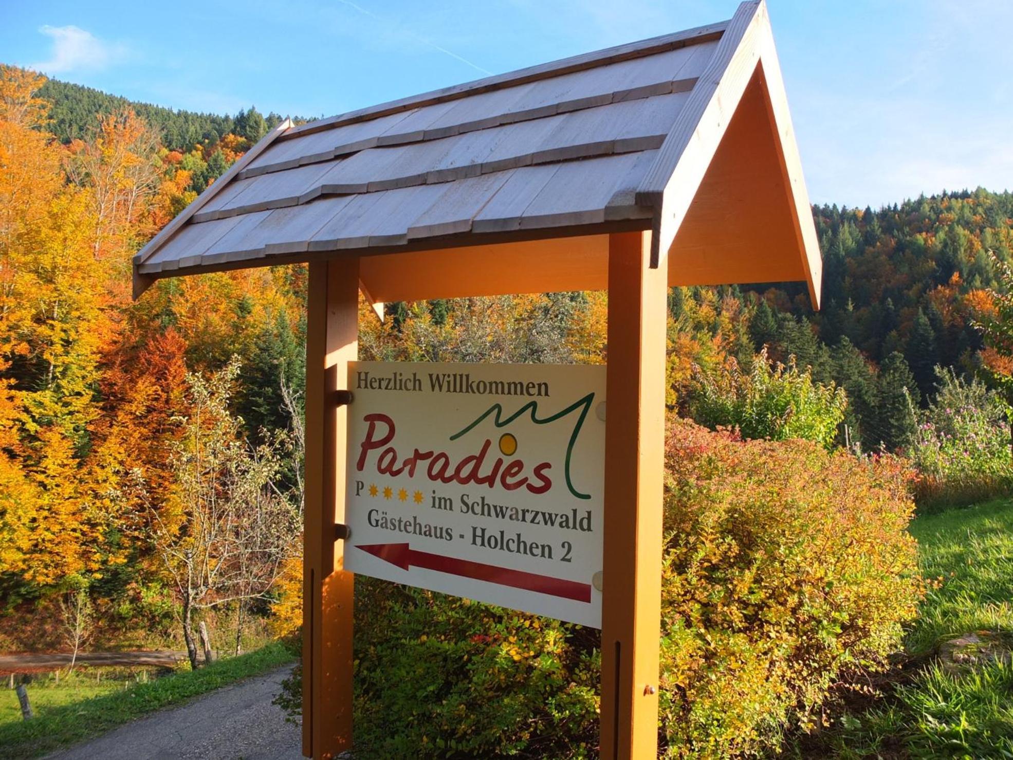 Paradies Im Schwarzwald Bad Peterstal-Griesbach Dış mekan fotoğraf