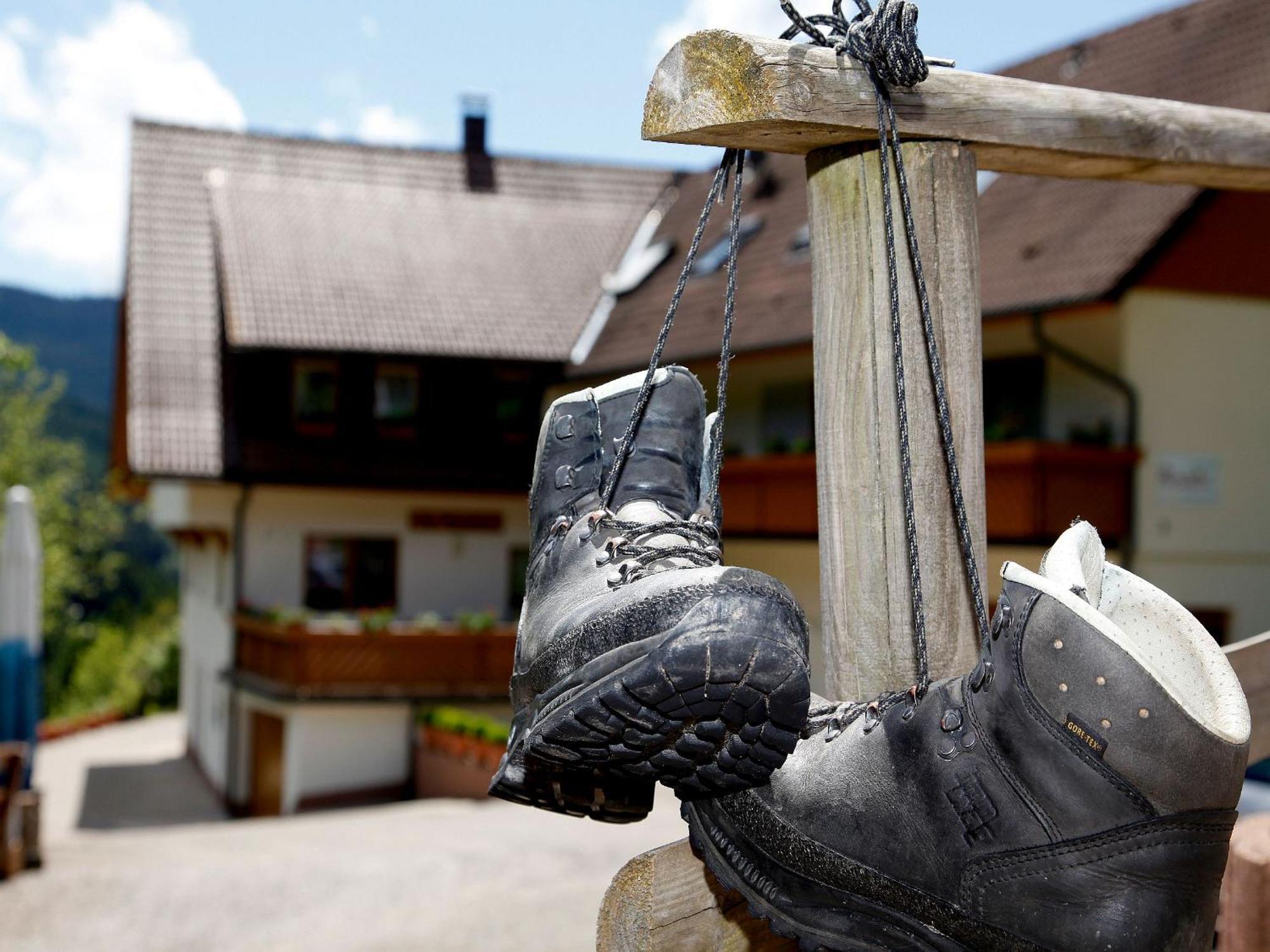 Paradies Im Schwarzwald Bad Peterstal-Griesbach Dış mekan fotoğraf