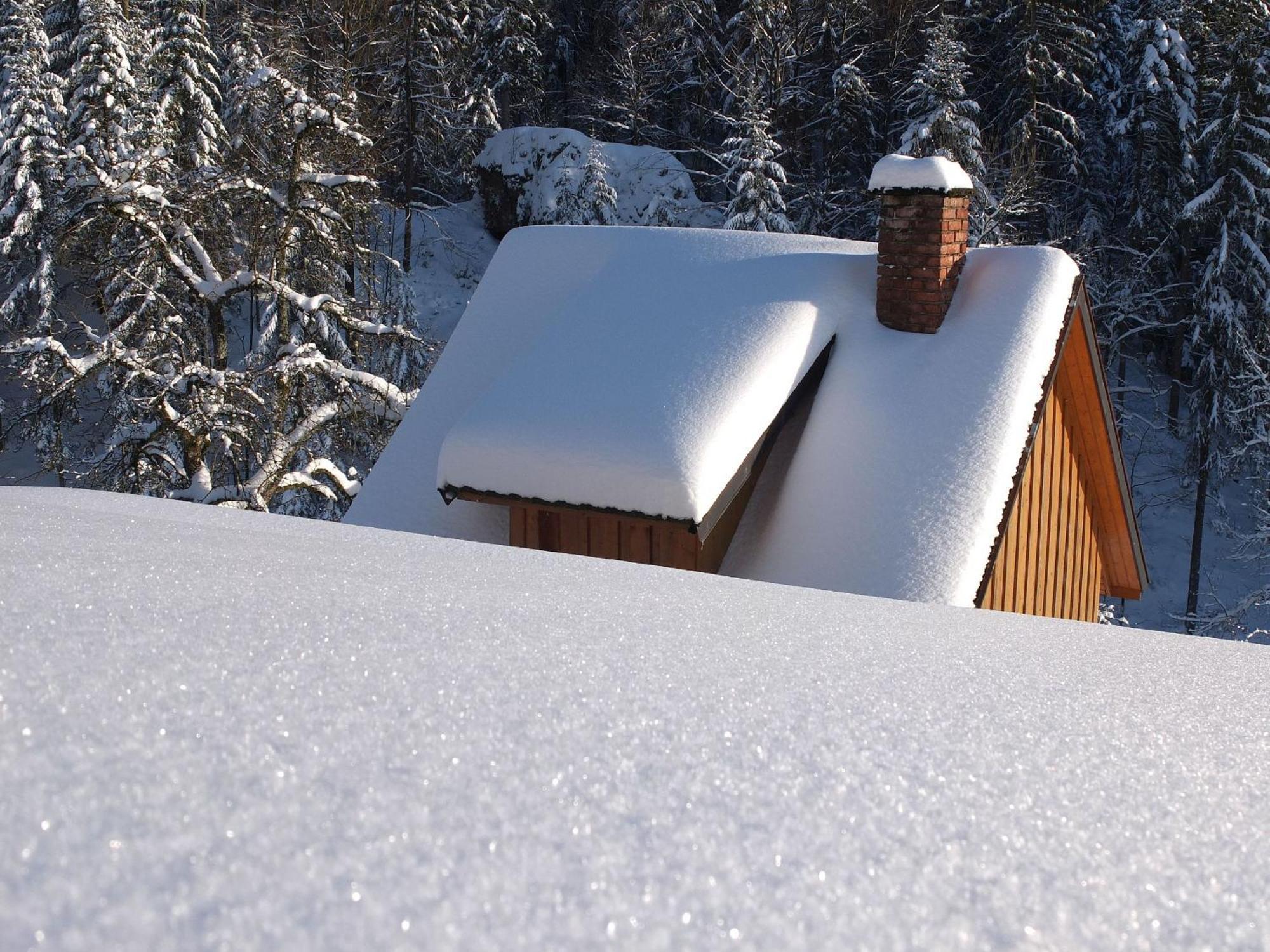Paradies Im Schwarzwald Bad Peterstal-Griesbach Dış mekan fotoğraf
